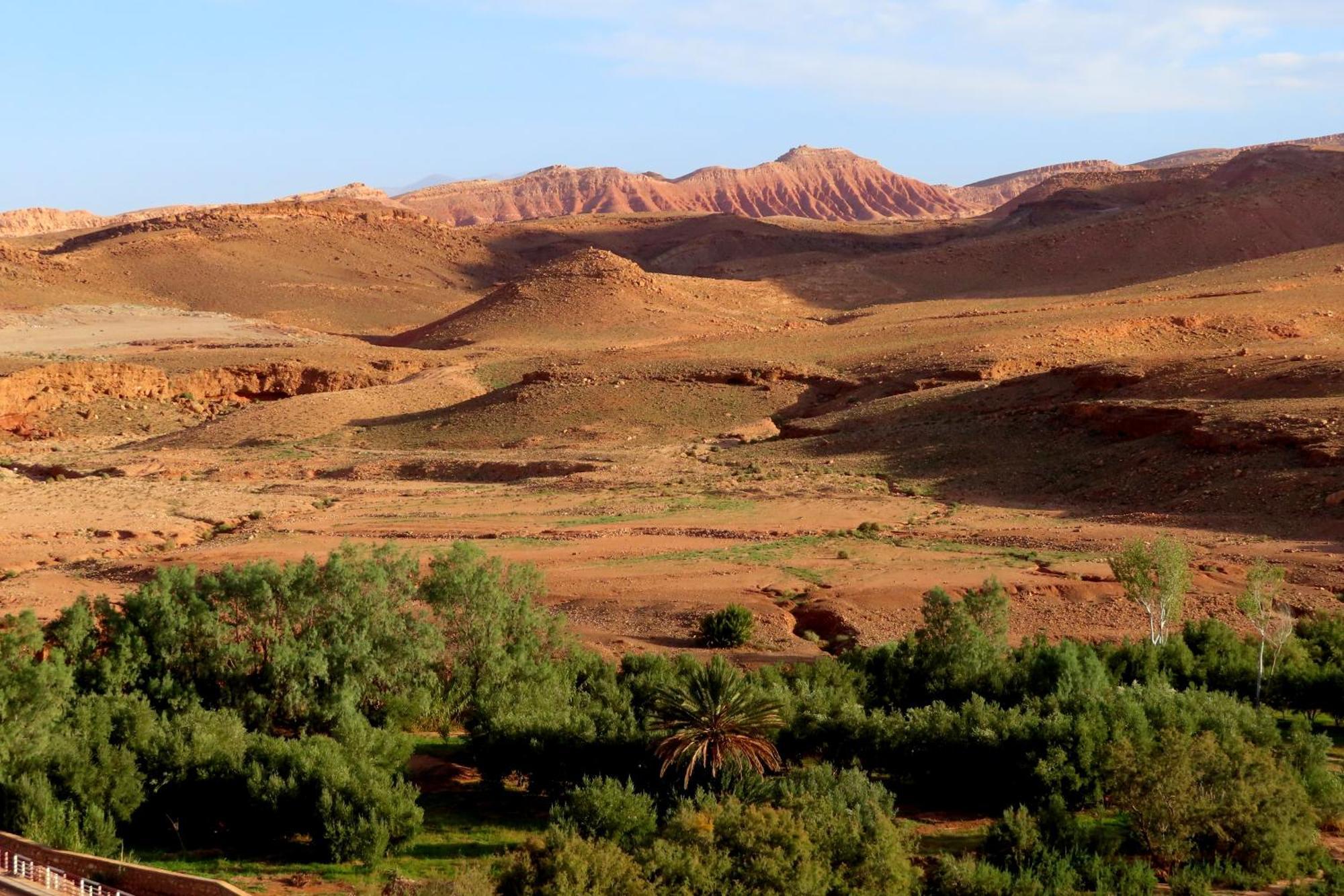 Tigmi Hamid Decouverte Des Traditions Et De La Culture Berbere Ait Benhaddou Ngoại thất bức ảnh